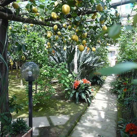 Anthea Bed & Breakfast Sorrento