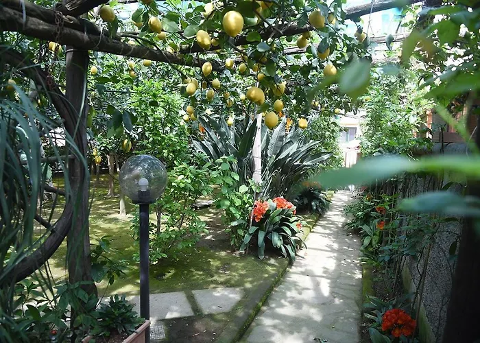 Anthea B&B 소렌토